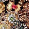 Heirloom Velvet Fabric - Image 4
